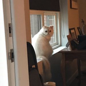 Meet your Posher, Kelly